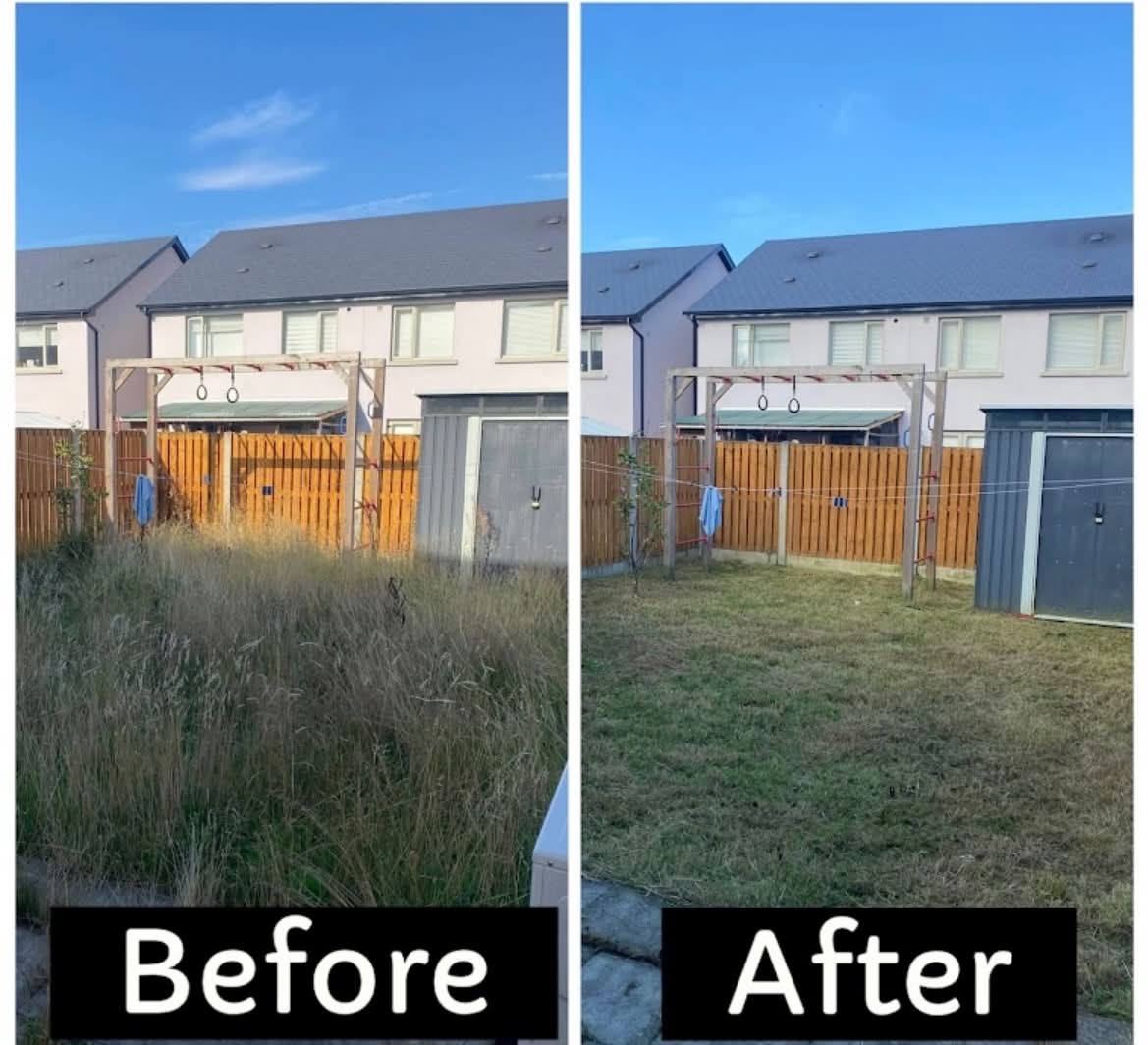 Garden and outdoor area — before and after